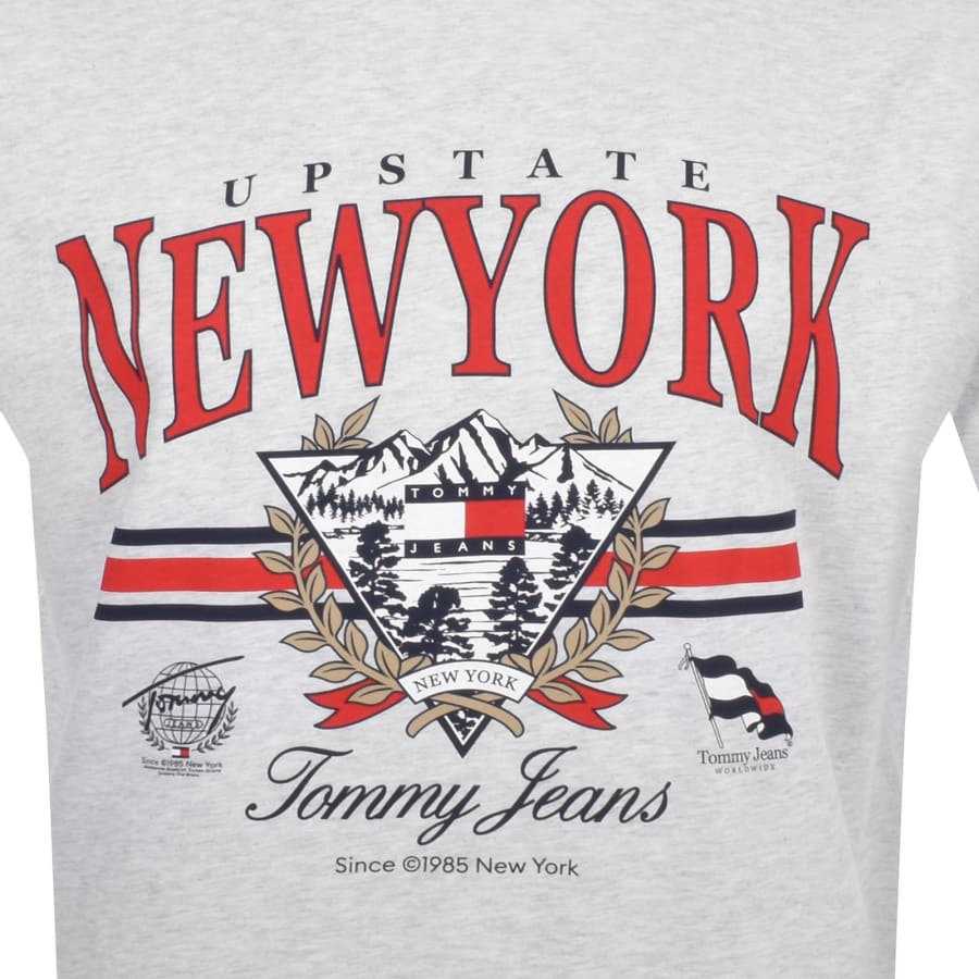 Tommy Jeans Explorer 2 Oversized T Shirt Grey